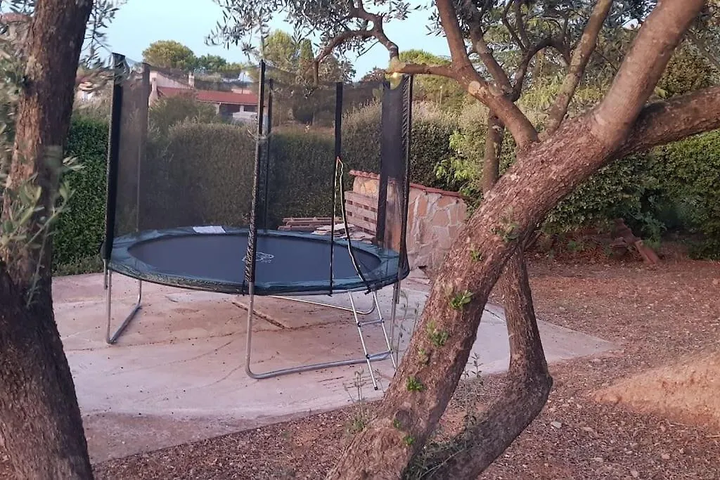 Maison Avec Piscine, Oliviers, Belle Vue, Au Calme Trans-en-Provence France